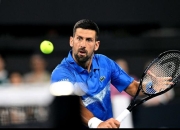 蜂鸟-德约科维奇新星比分优势明显表现惊艳，法国队未来可期！的简单介绍