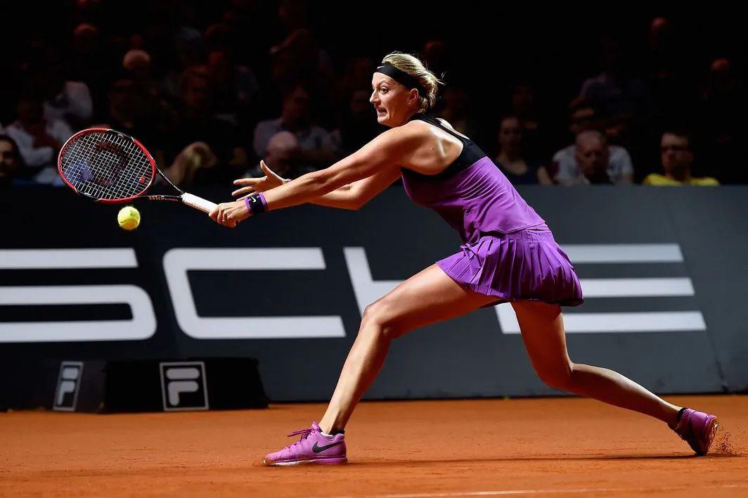  白所成祖籍中国哪里 